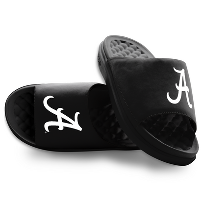 Alabama Crimson Tide Primary Motive