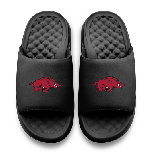 Arkansas Razorbacks Primary Motive