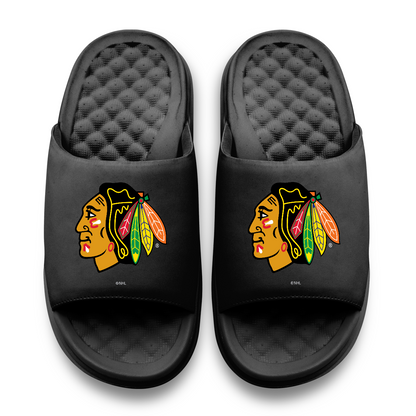 Chicago Blackhawks Primary Motive