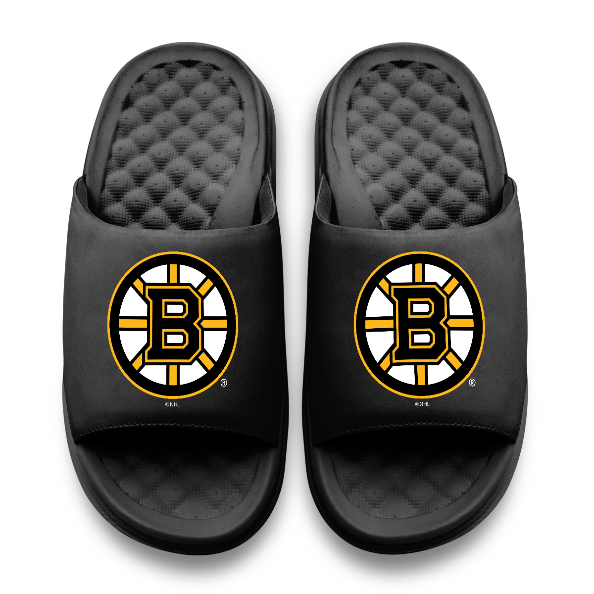 Boston Bruins Primary Motive