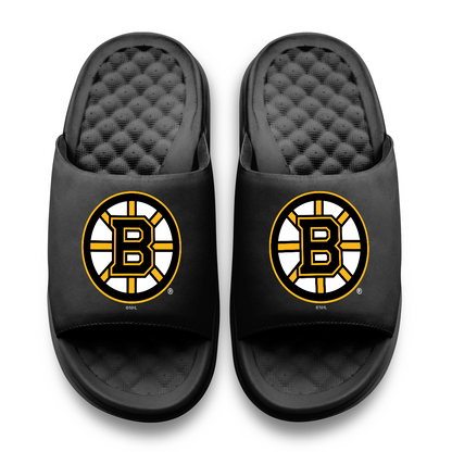 Boston Bruins Primary Motive