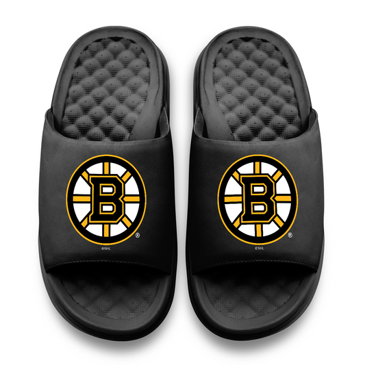 Boston Bruins Primary Motive