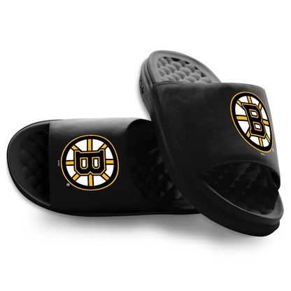 Boston Bruins Primary Motive
