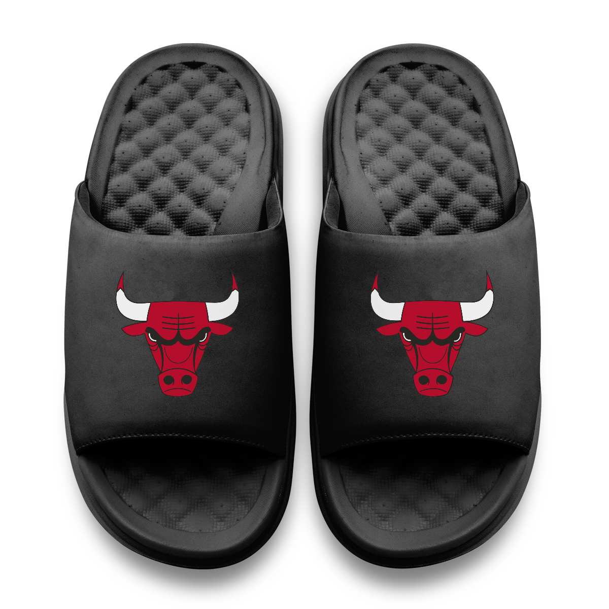 Chicago Bulls Primary Motive