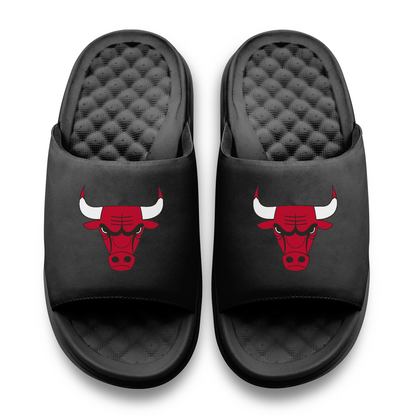 Chicago Bulls Primary Motive