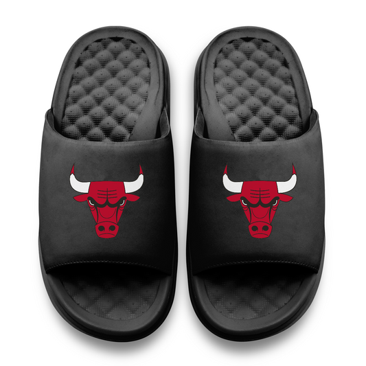 Chicago Bulls Primary Motive