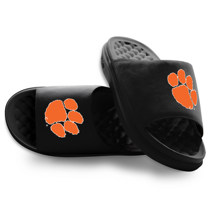 Clemson Tigers Primary Motive