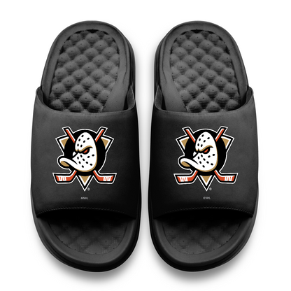 Anaheim Ducks Primary Motive