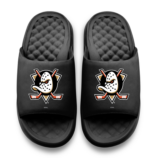 Anaheim Ducks Primary Motive