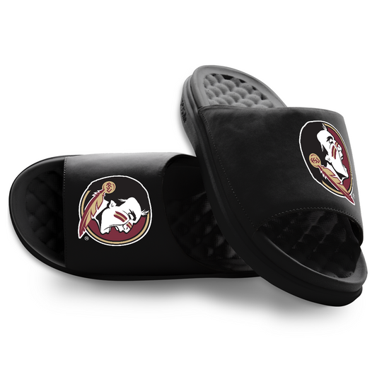Florida State Seminoles Primary Motive