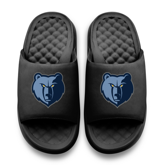 Memphis Grizzlies Primary Motive