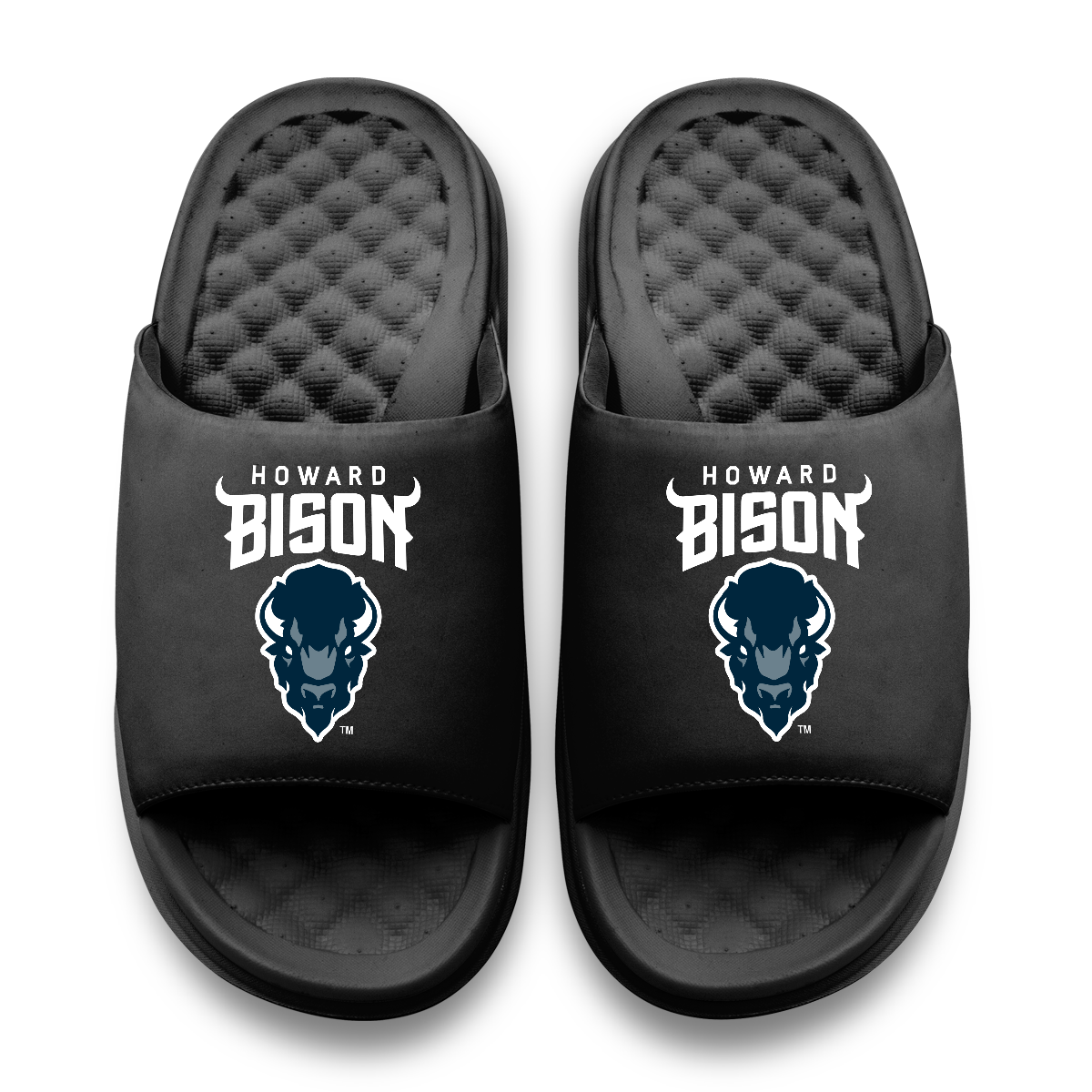 Howard Bison Primary Motive