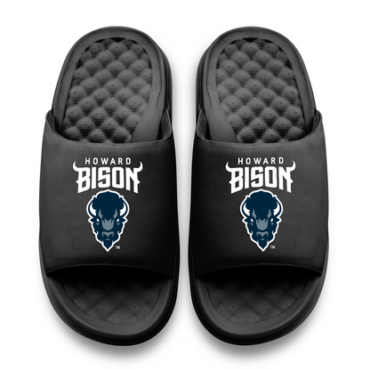 Howard Bison Primary Motive