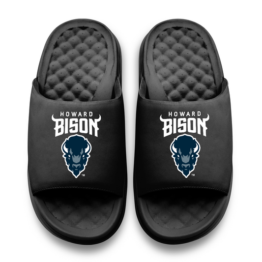 Howard Bison Primary Motive