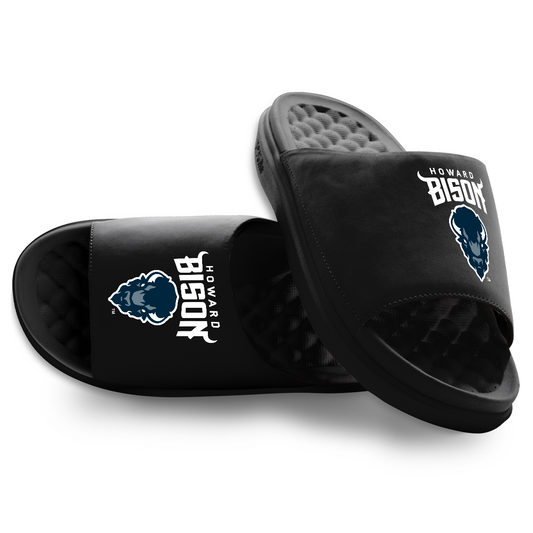 Howard Bison Primary Motive