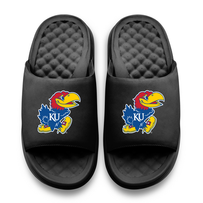 Kansas Jayhawks Primary Motive