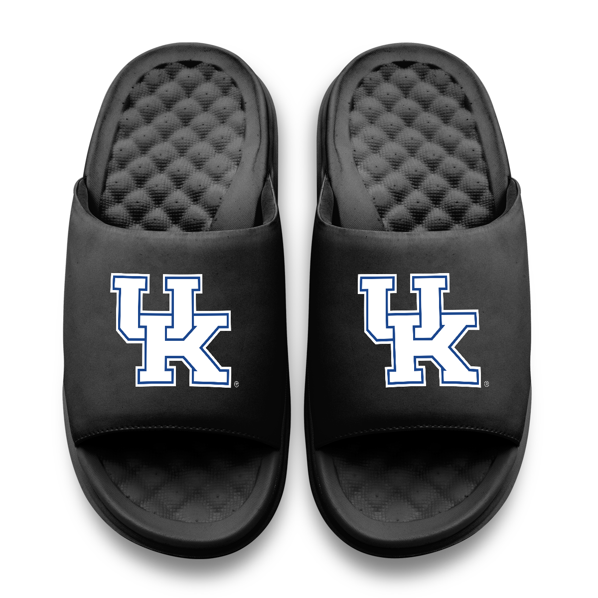 Kentucky Wildcats Primary Motive