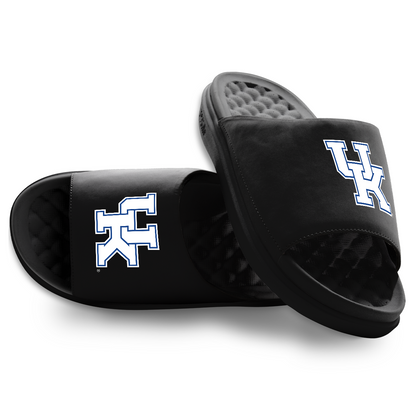 Kentucky Wildcats Primary Motive