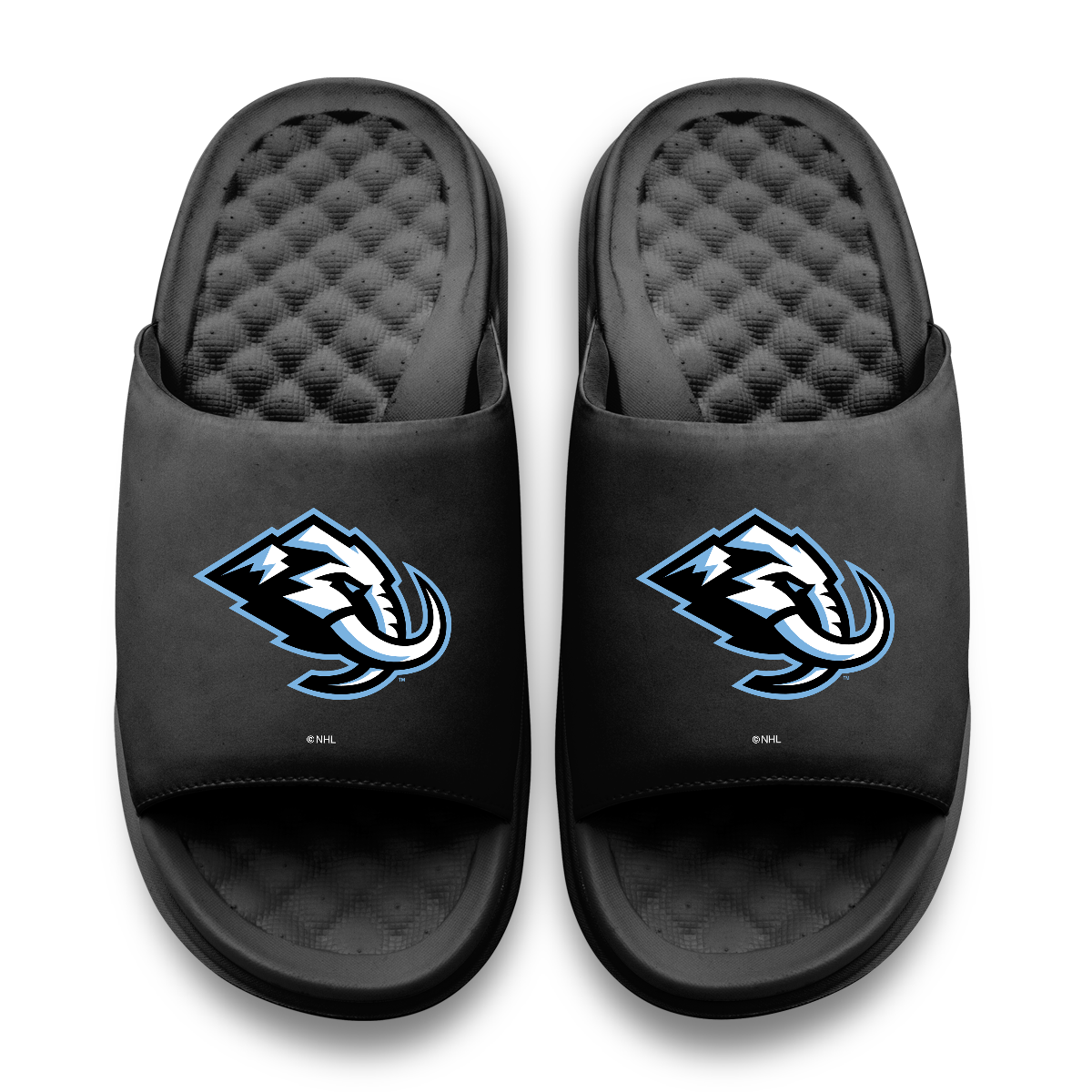 Utah Mammoth Primary Logo Motive