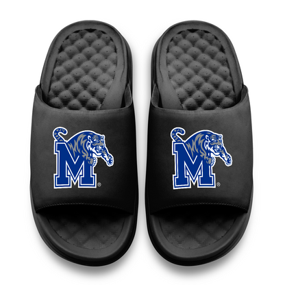 Memphis Tigers Primary Motive