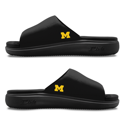Michigan Wolverines Minimalistic Motive
