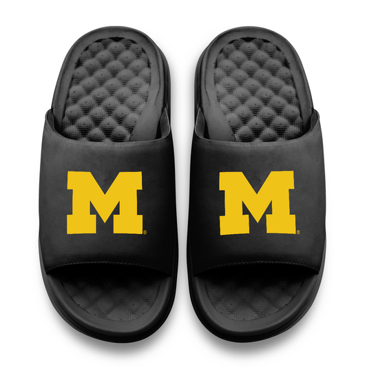 Michigan Wolverines Primary Motive