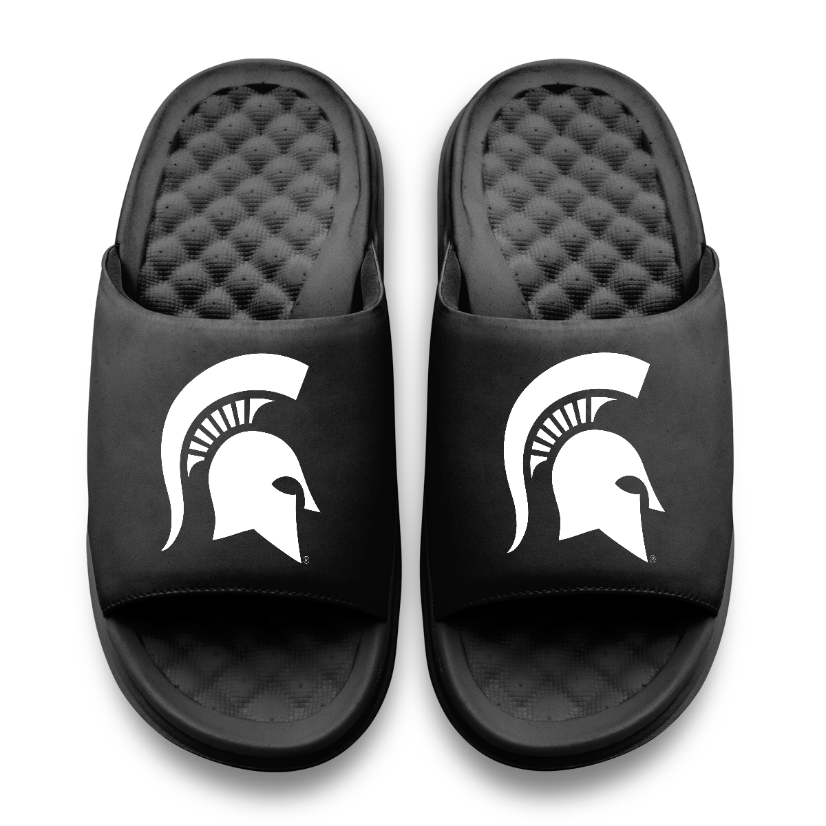 Michigan State Spartans Primary Motive