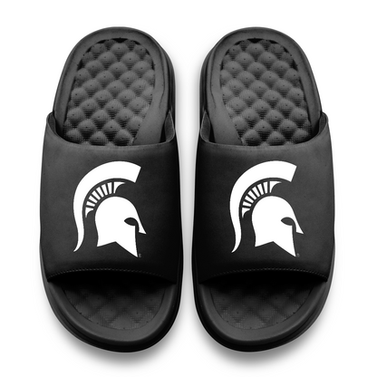 Michigan State Spartans Primary Motive