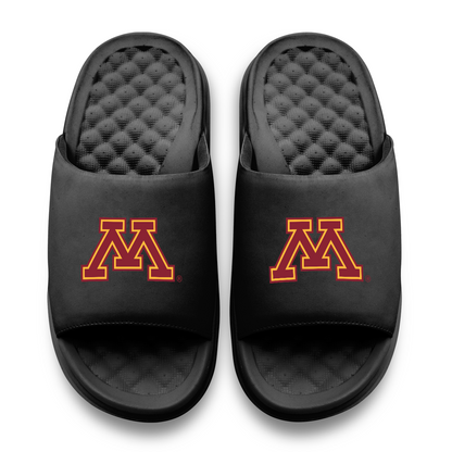 Minnesota Golden Gophers Primary Motive