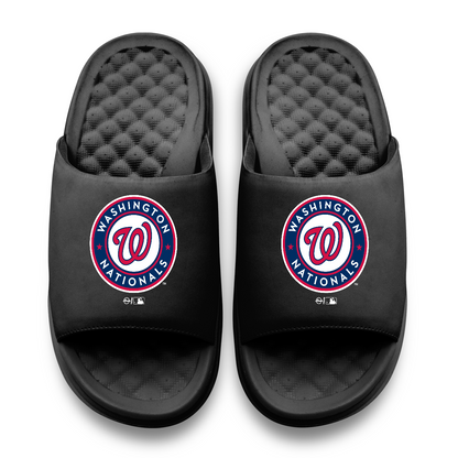 Washington Nationals Primary Motive