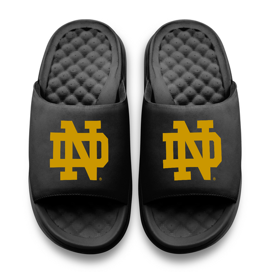 Notre Dame Fighting Irish Primary Motive