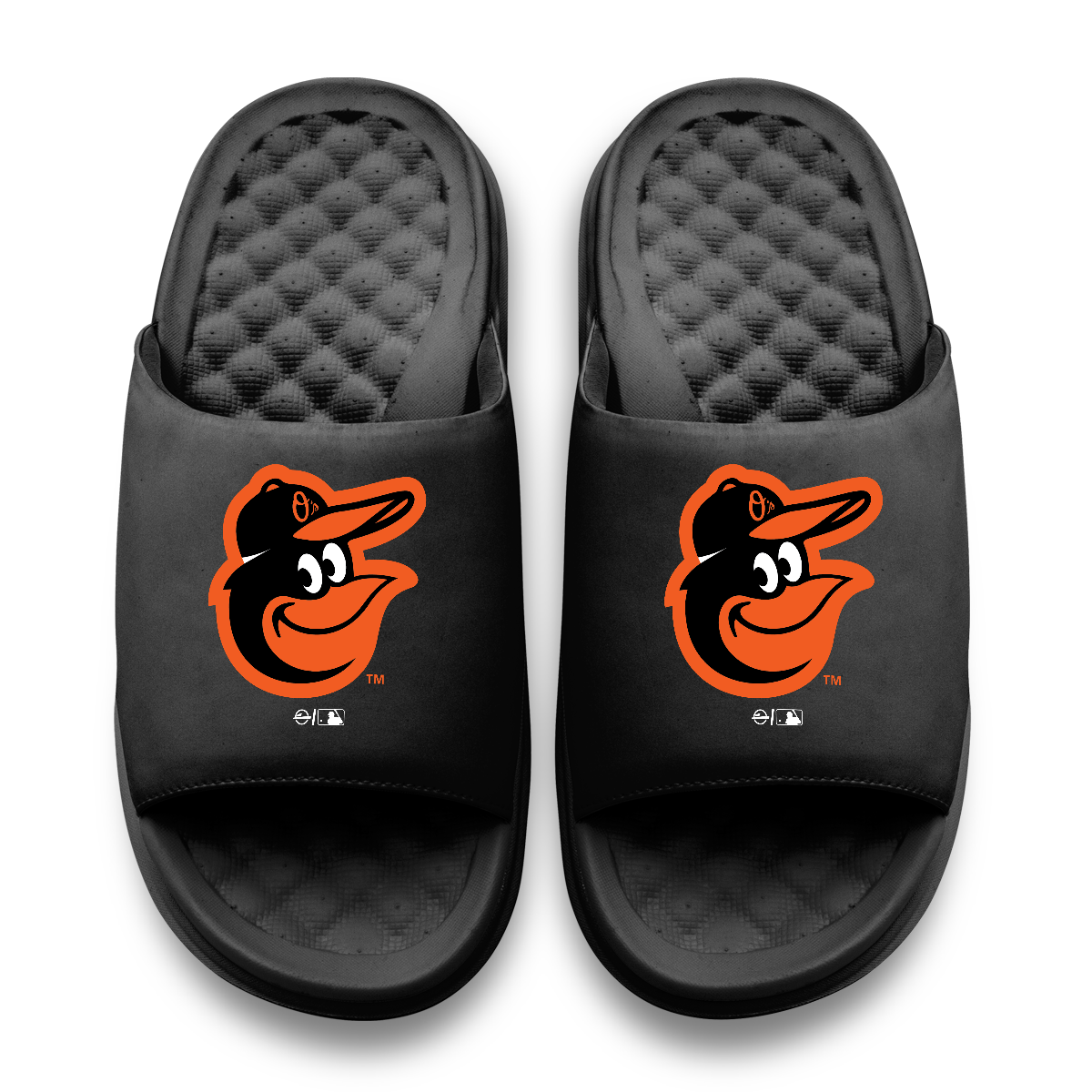 Baltimore Orioles Primary Motive