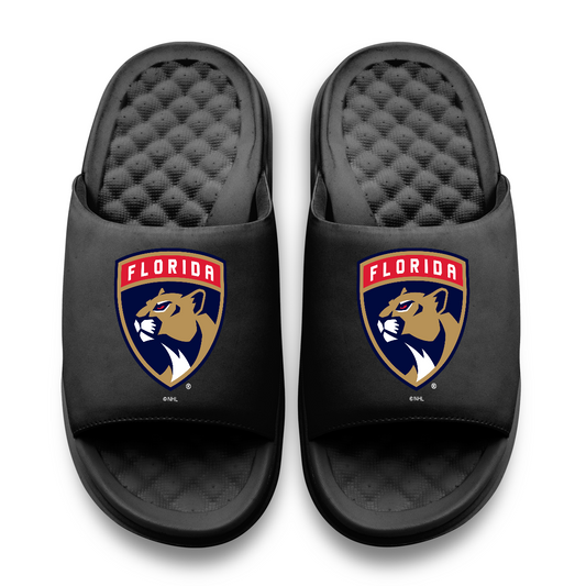 Florida Panthers Primary Motive