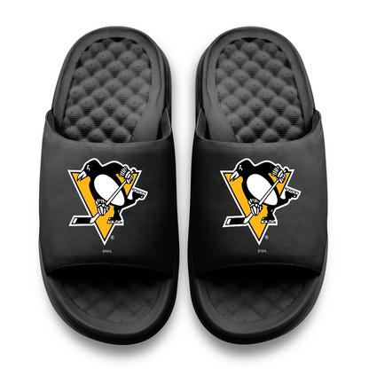 Pittsburgh Penguins Primary Motive