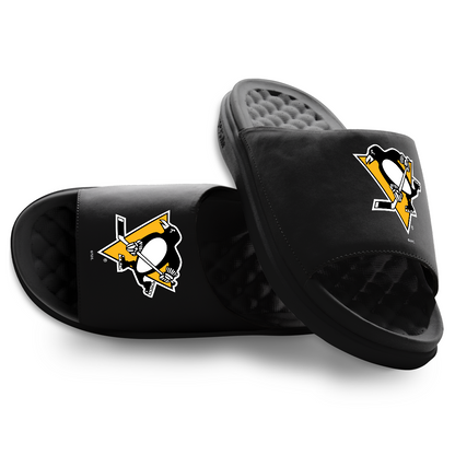 Pittsburgh Penguins Primary Motive