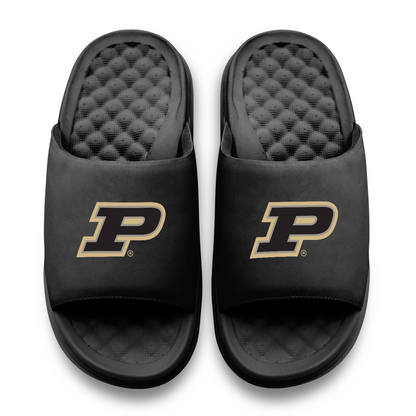 Purdue Boilermakers Primary Motive