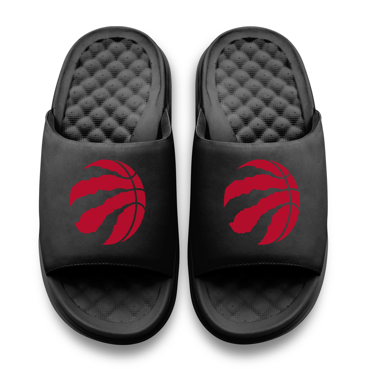 Toronto Raptors Primary Motive