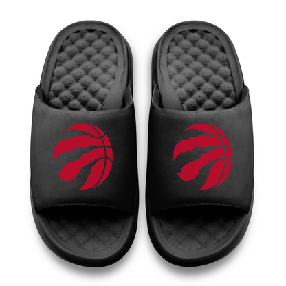 Toronto Raptors Primary Motive