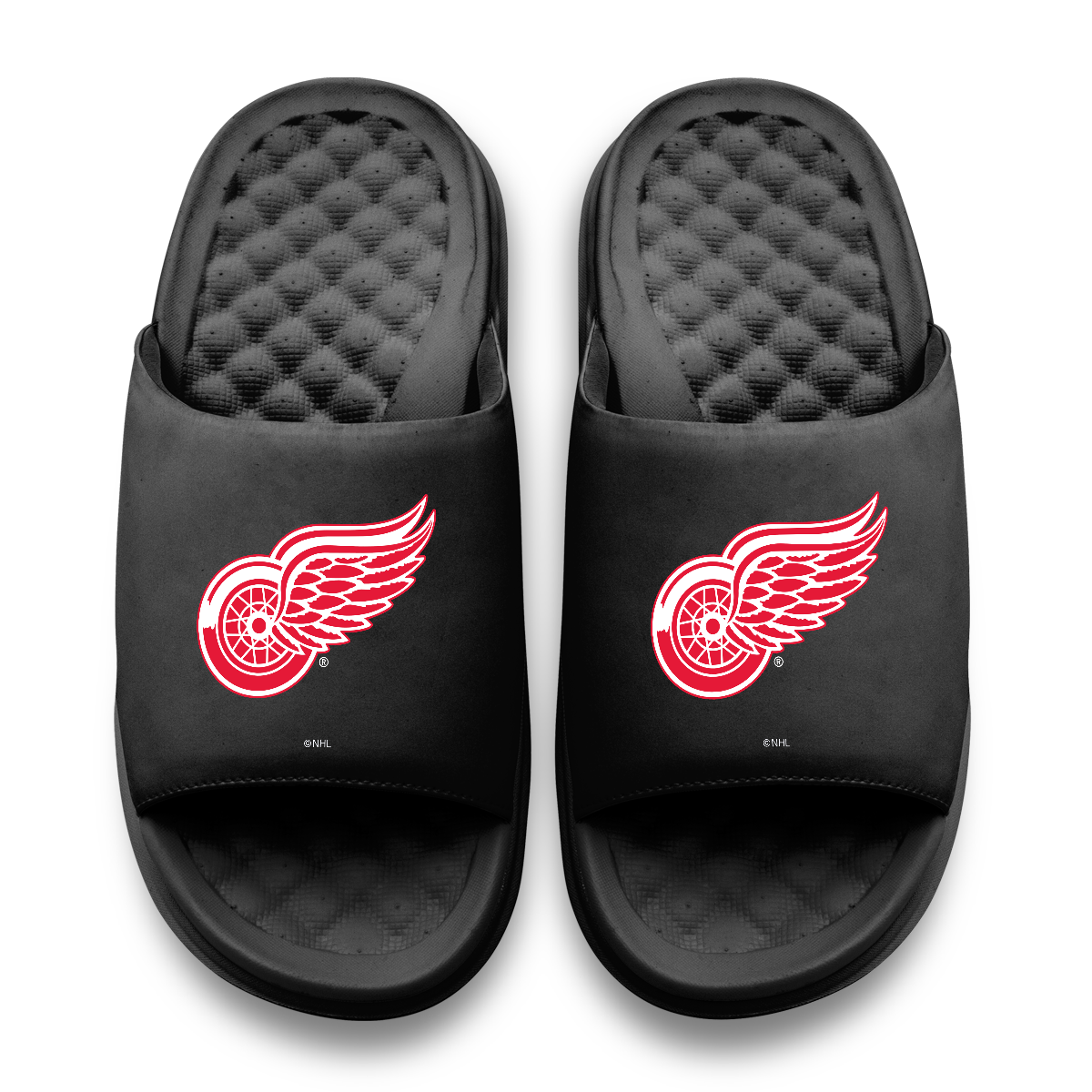 Detroit Red Wings Primary Motive