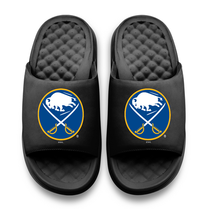 Buffalo Sabres Primary Motive