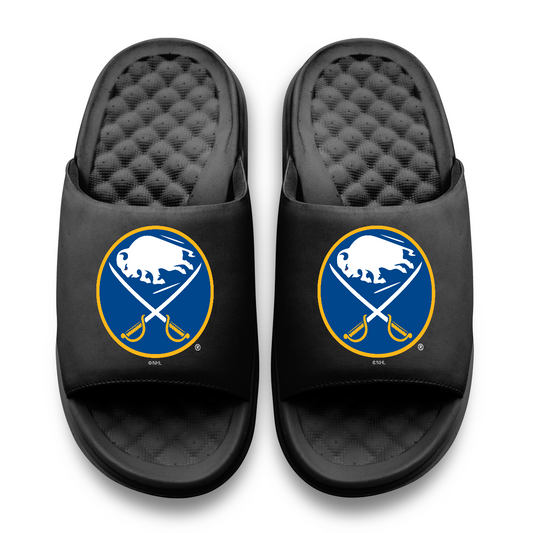 Buffalo Sabres Primary Motive