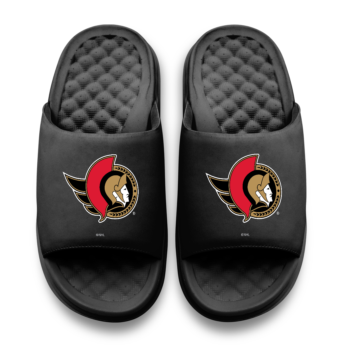 Ottawa Senators Primary Motive