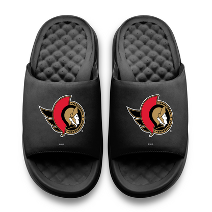 Ottawa Senators Primary Motive