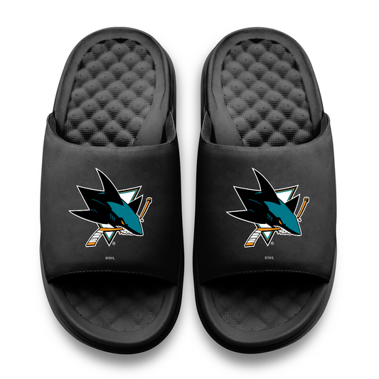 San Jose Sharks Primary Motive