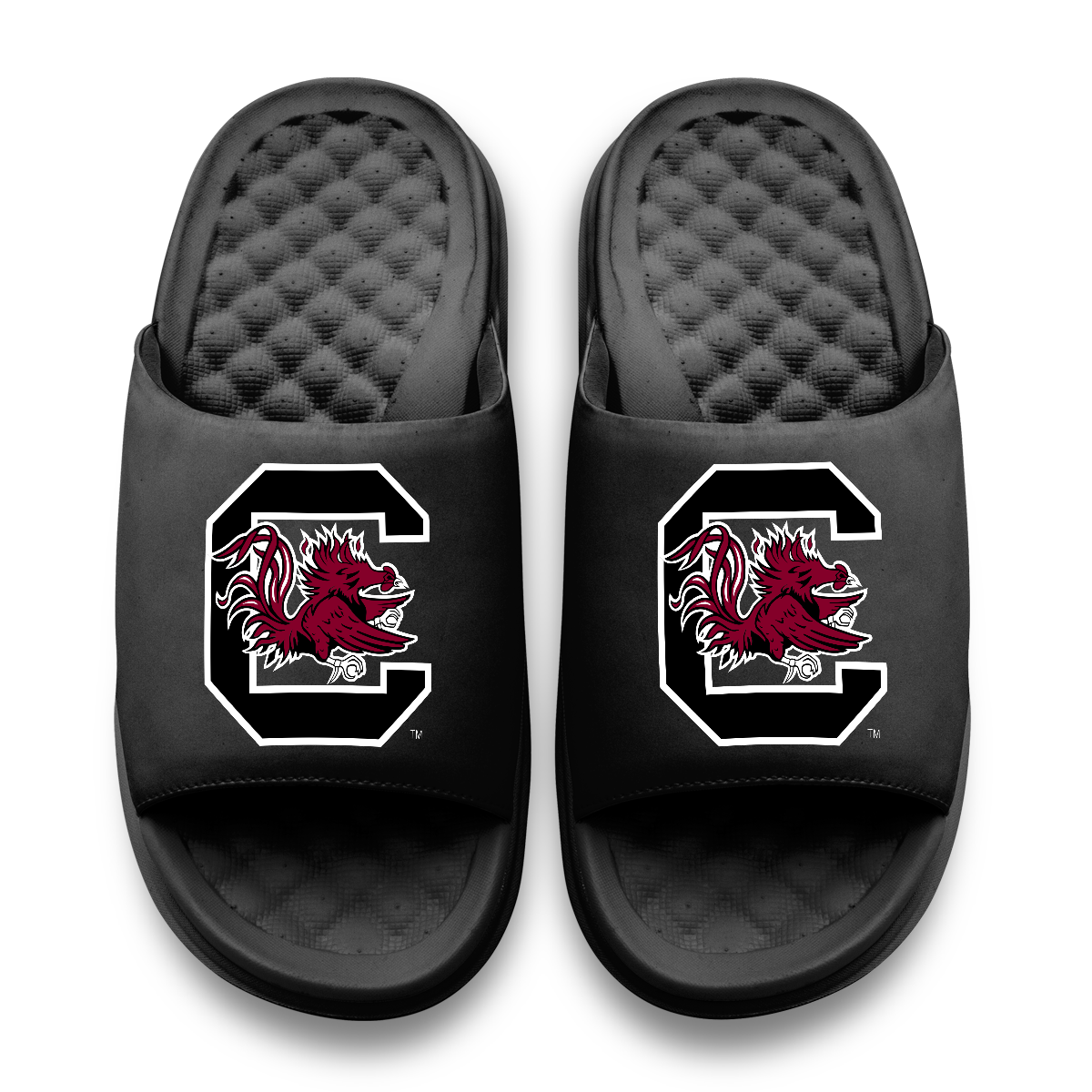 South Carolina Gamecocks Primary Motive