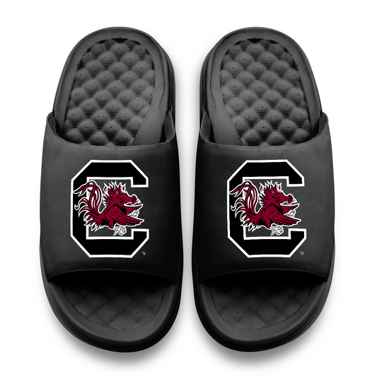 South Carolina Gamecocks Primary Motive