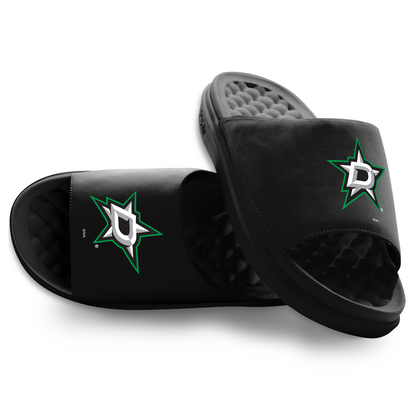 Dallas Stars Primary Motive
