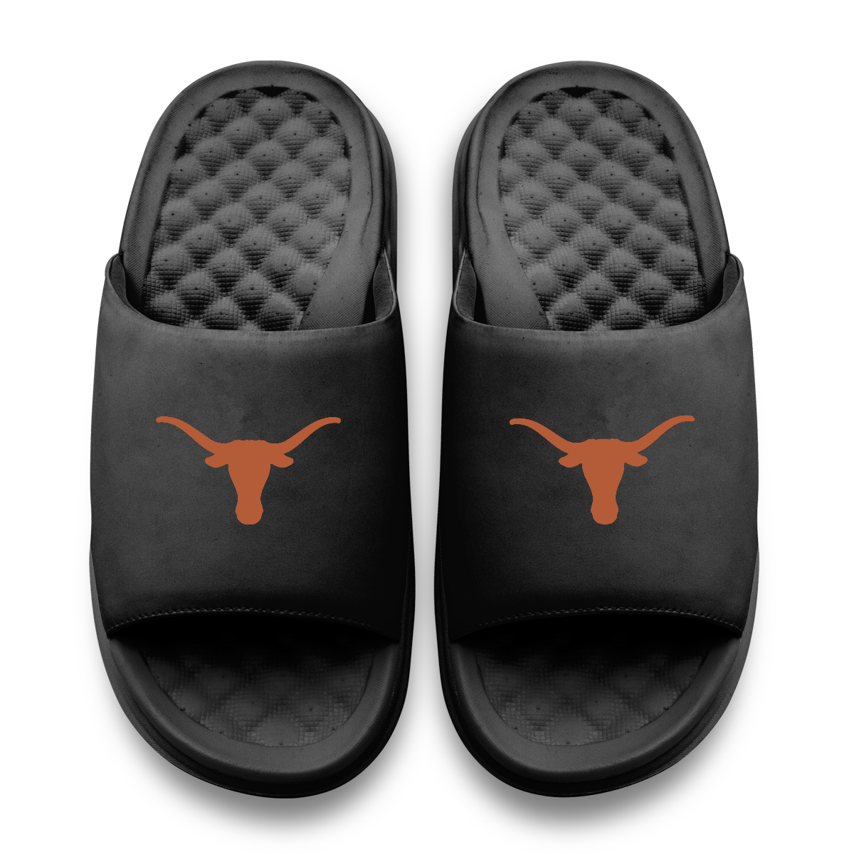 Texas Longhorns Primary Motive