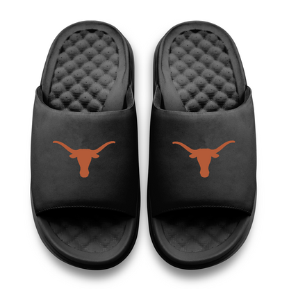Texas Longhorns Primary Motive