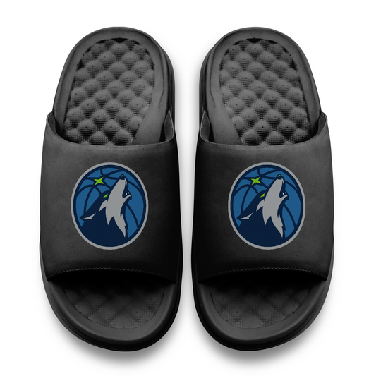 Minnesota Timberwolves Primary Motive